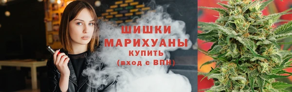 ПСИЛОЦИБИНОВЫЕ ГРИБЫ Алзамай