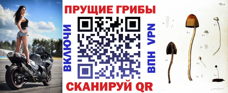цена наркотик  mega сайт  Псилоцибиновые грибы GOLDEN TEACHER  Спасск-Дальний 